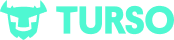 Turso Logo